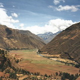Holly Valley